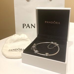 Pandora moments snake chain bracelet